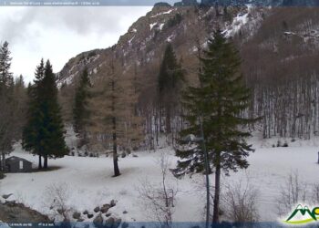 meteo-toscana:-un’altra-giornata-uggiosa-e-piovigginosa